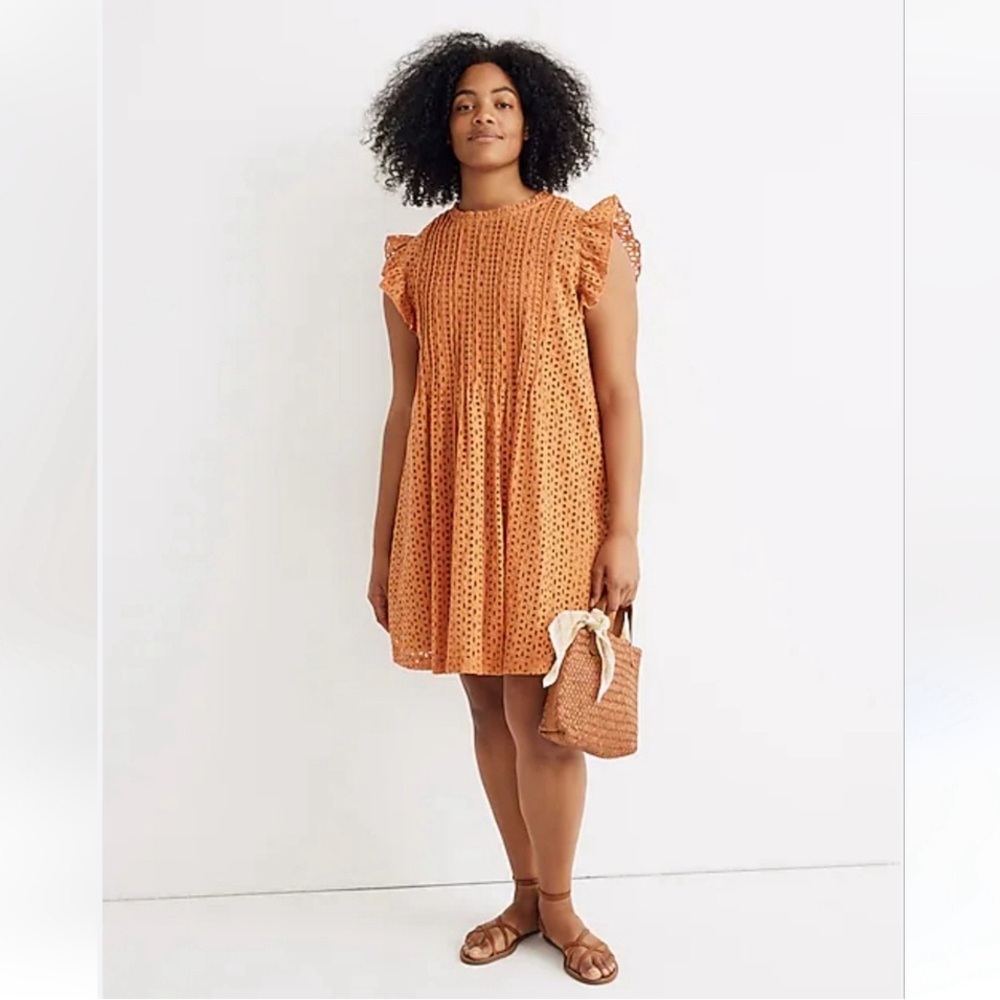 Madewell Eyelet Ruffle Pintuck Mini Dress